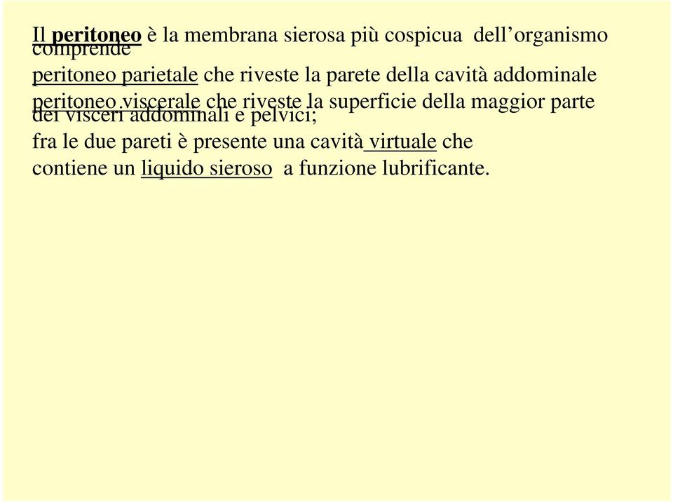 riveste la superficie della maggior parte dei visceri addominali e pelvici; fra le