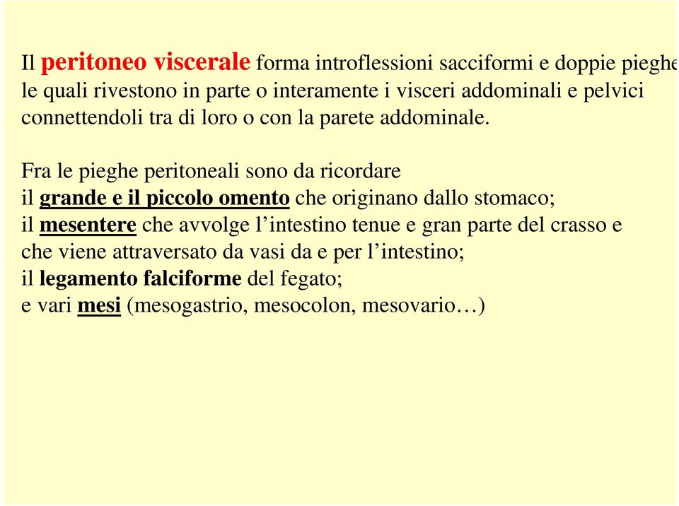 Fra le pieghe peritoneali sono da ricordare il grande e il piccolo omento che originano dallo stomaco; il mesentere che