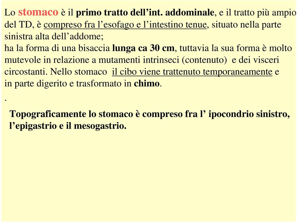 addome; ha la forma di una bisaccia lunga ca 30 cm, tuttavia la sua forma è molto mutevole in relazione a mutamenti intrinseci