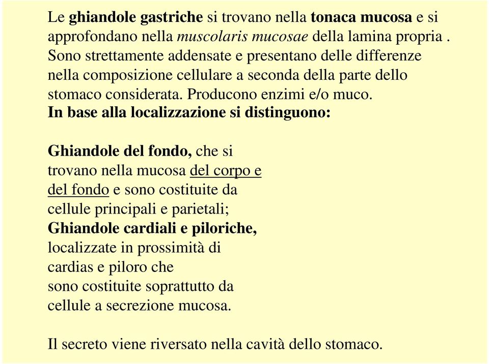 In base alla localizzazione si distinguono: Ghiandole del fondo, che si trovano nella mucosa del corpo e del fondo e sono costituite da cellule principali e