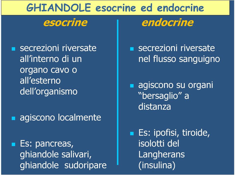 ghiandole salivari, ghiandole sudoripare secrezioni riversate nel flusso sanguigno