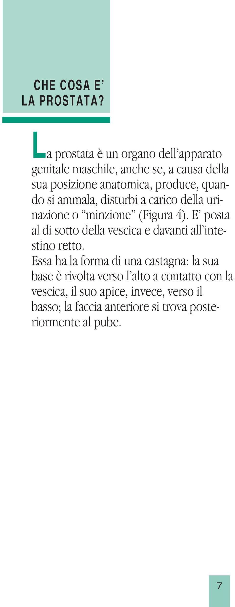 quando si ammala, disturbi a carico della urinazione o minzione (Figura 4).