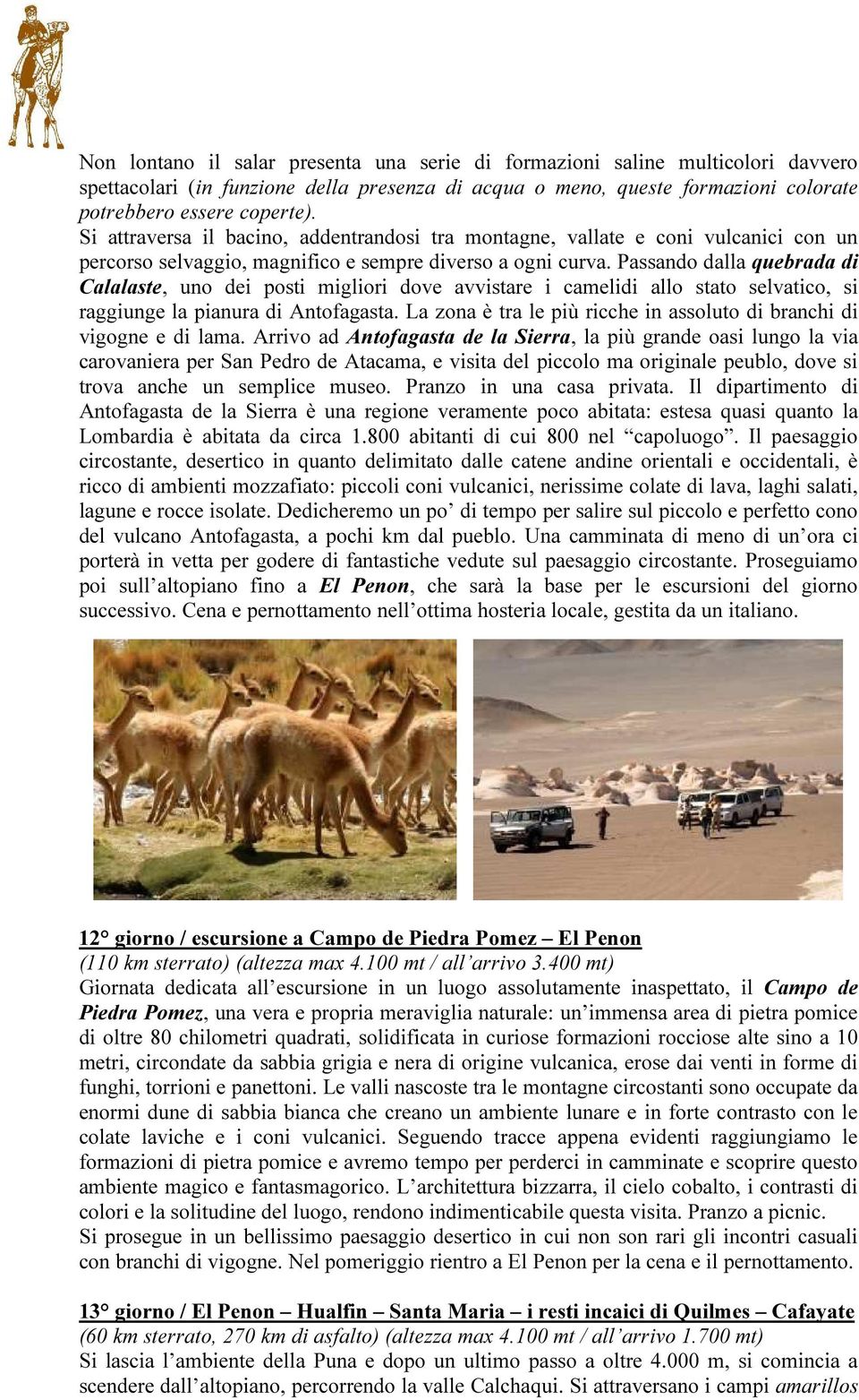 Passando dalla quebrada di Calalaste, uno dei posti migliori dove avvistare i camelidi allo stato selvatico, si raggiunge la pianura di Antofagasta.