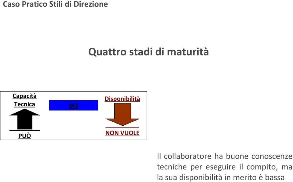 conoscenze tecniche per eseguire il