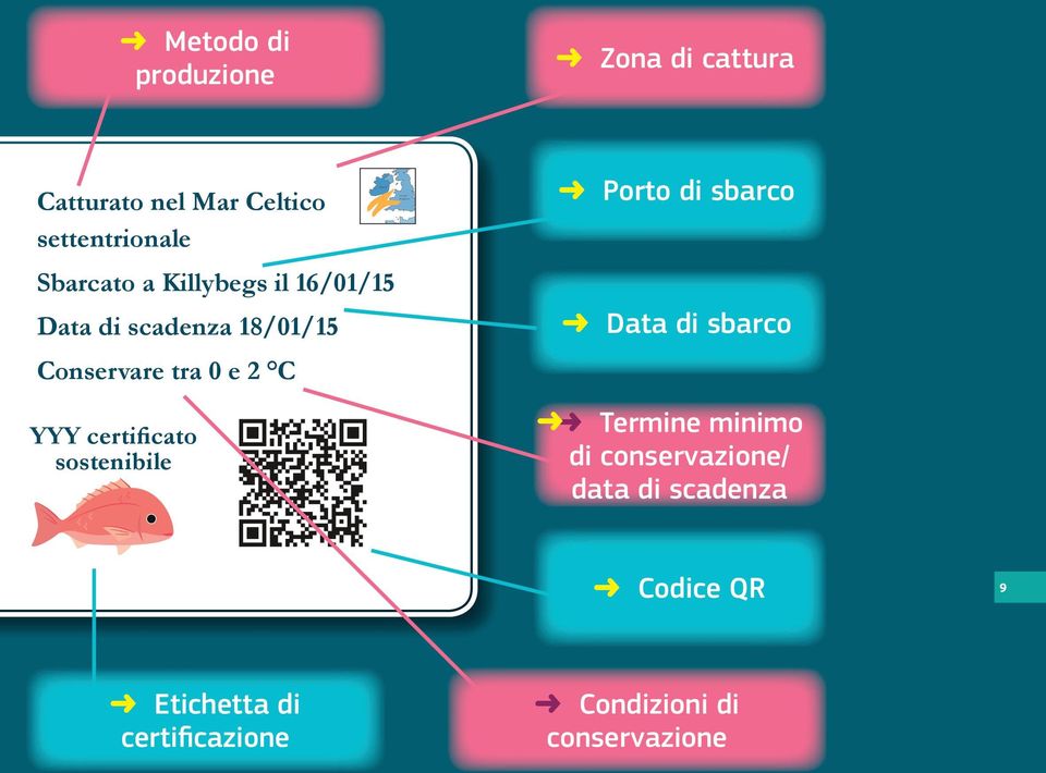 Sbarcato a Killybegs il 16/01/15 Data di scadenza 18/01/15 Conservare tra 0 e 2 C YYY certificato sostenibile Marokko Irland Algerien Frankreich Tunesien Deutschland Italien Tschechien