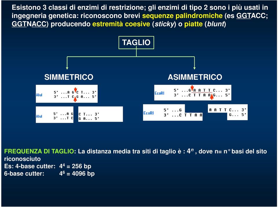 (sticky) o piatte (blunt) TAGLIO SIMMETRICO ASIMMETRICO FREQUENZA DI TAGLIO: La distanza media tra siti