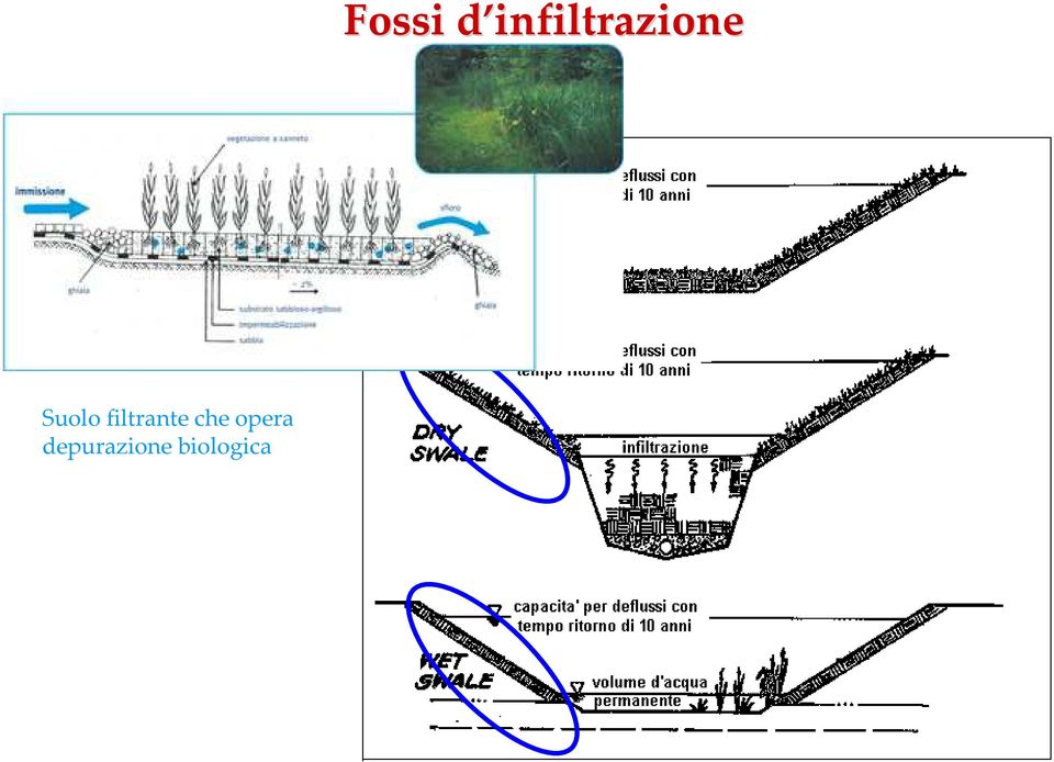 depurazione