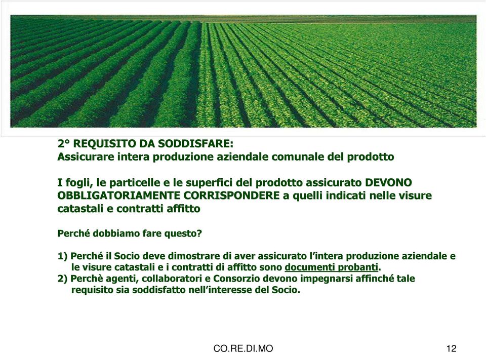 1) Perché il Socio deve dimostrare di aver assicurato l intera l produzione aziendale e le visure catastali e i contratti di affitto sono