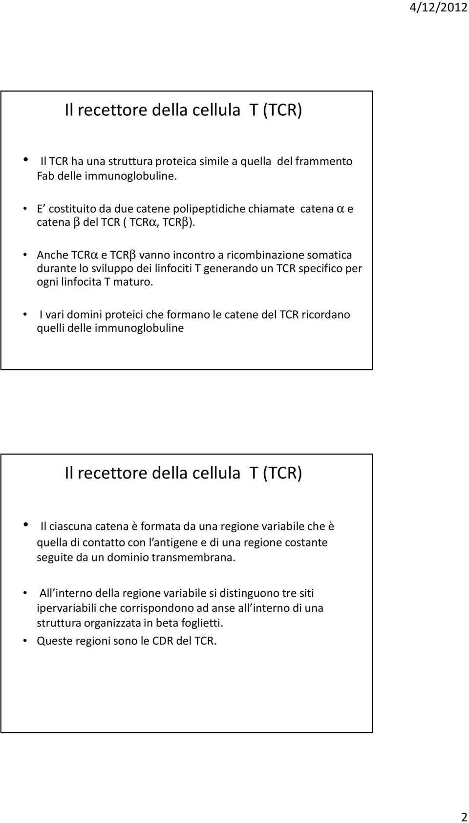 Anche TCRαe TCRβvanno incontro a ricombinazione somatica durante lo sviluppo dei linfociti T generando un TCR specifico per ogni linfocita T maturo.