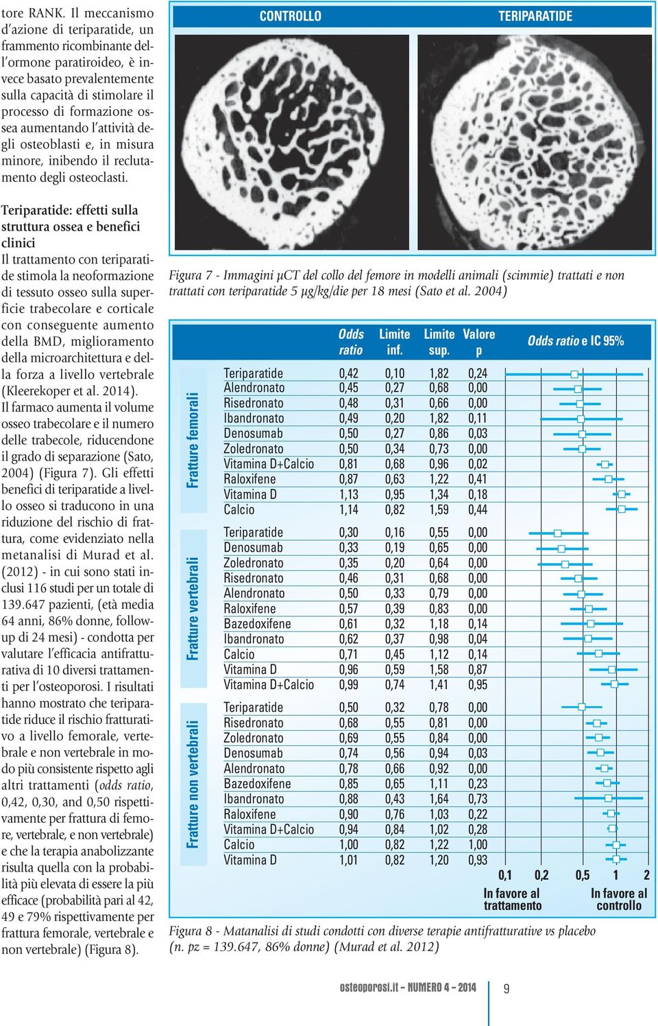 attività degli osteoblasti e, in misura minore, inibendo il reclutamento degli osteoclasti.