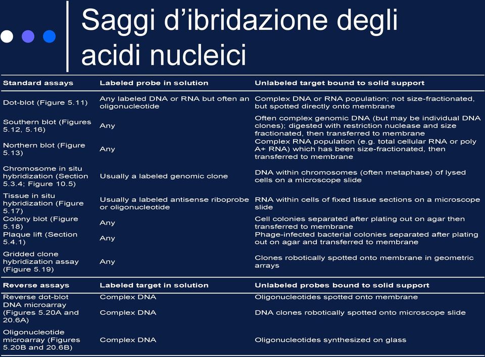 19) Any labeled DNA or RNA but often an oligonucleotide Any Any Usually a labeled genomic clone Usually a labeled antisense riboprobe or oligonucleotide Any Any Any Complex DNA or RNA population; not