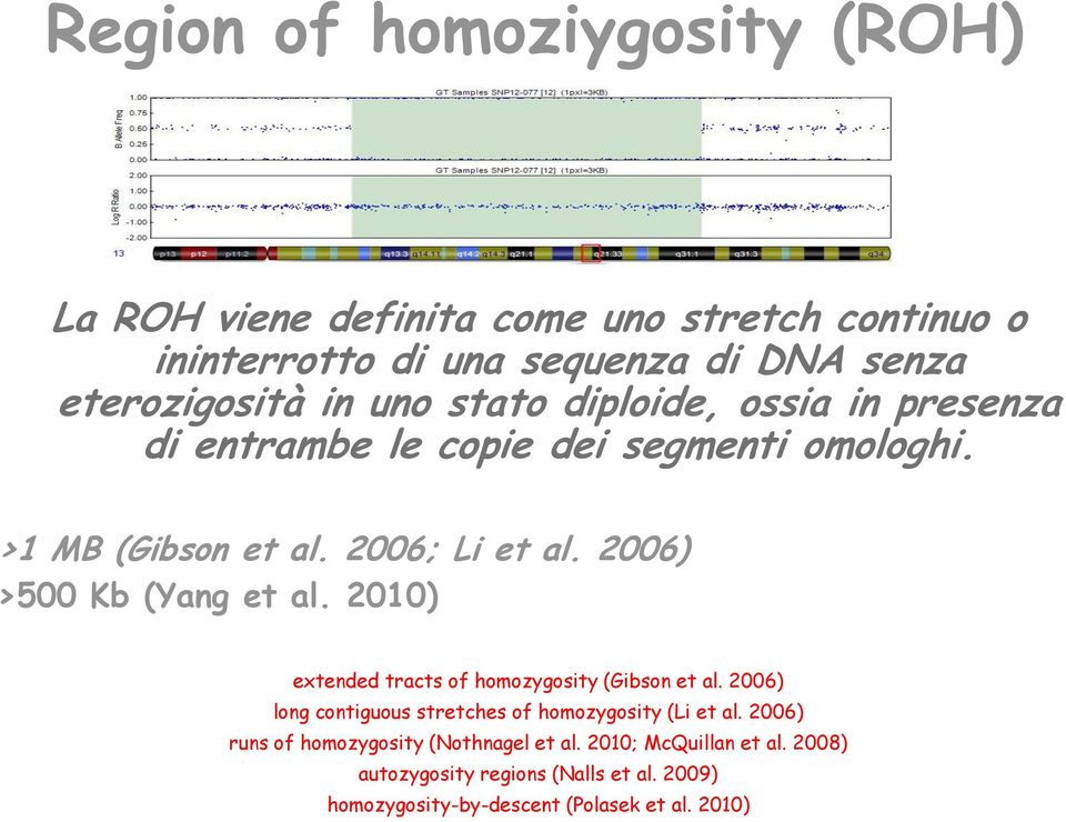 2006) >500 Kb (Yang et al. 2010) extended tracts of homozygosity (Gibson et al. 2006) long contiguous stretches of homozygosity (Li et al.