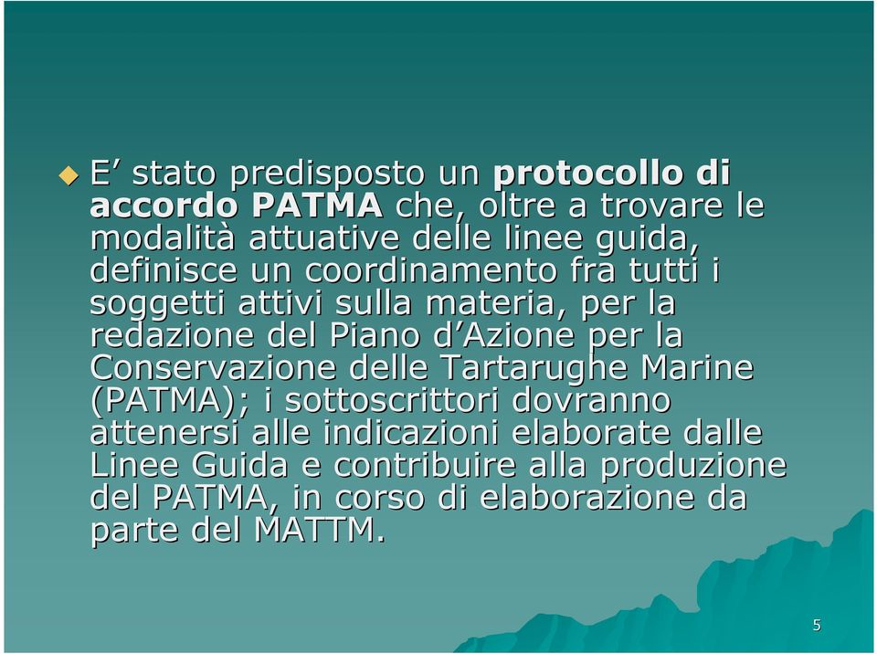 Azione d per la Conservazione delle Tartarughe Marine (PATMA); i sottoscrittori dovranno attenersi alle