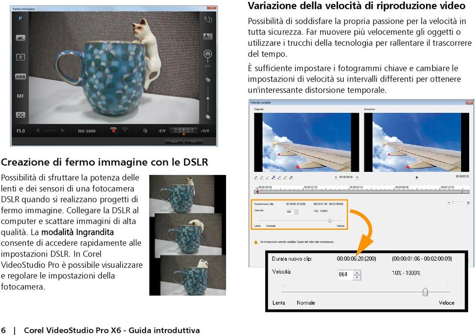 È sufficiente impostare i fotogrammi chiave e cambiare le impostazioni di velocità su intervalli differenti per ottenere un'interessante distorsione temporale.