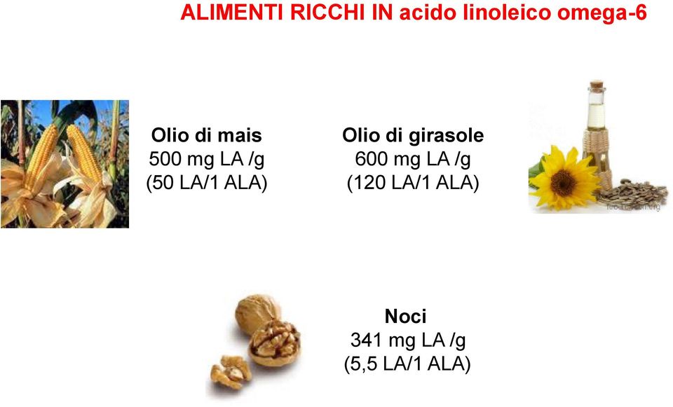 LA/1 ALA) Olio di girasole 600 mg LA /g