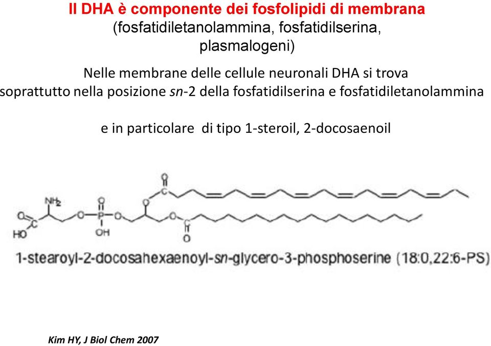 trova soprattutto nella posizione sn-2 della fosfatidilserina e