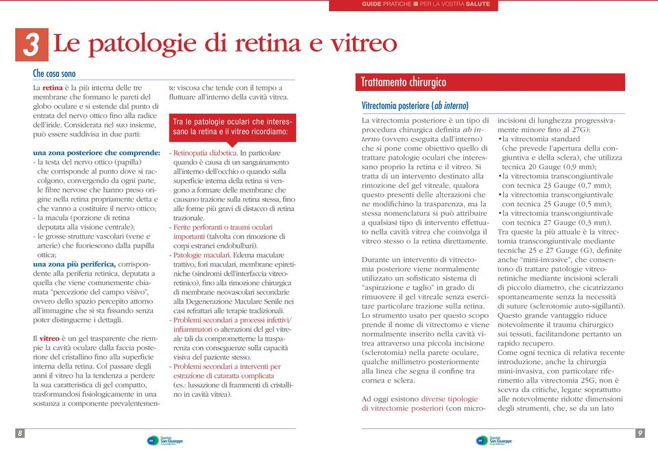 Considerata nel suo insieme, può essere suddivisa in due parti: una zona posteriore che comprende: - la testa del nervo ottico (papilla) che corrisponde al punto dove si raccolgono, convergendo da