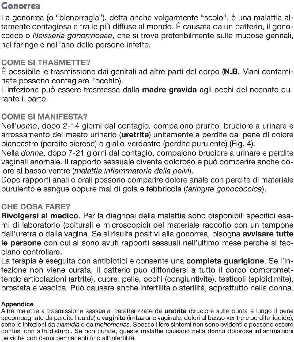 È possibile le trasmissione dai genitali ad altre parti del corpo (N.B. Mani contaminate possono contagiare l occhio).