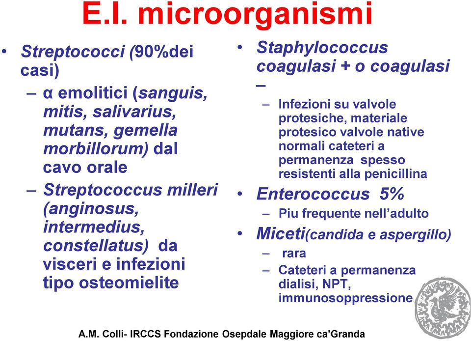 protesiche, materiale protesico valvole native normali cateteri a permanenza spesso resistenti alla penicillina Enterococcus 5% Piu frequente nell