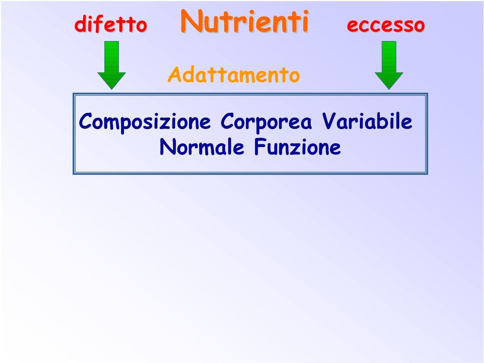 Composizione Corporea