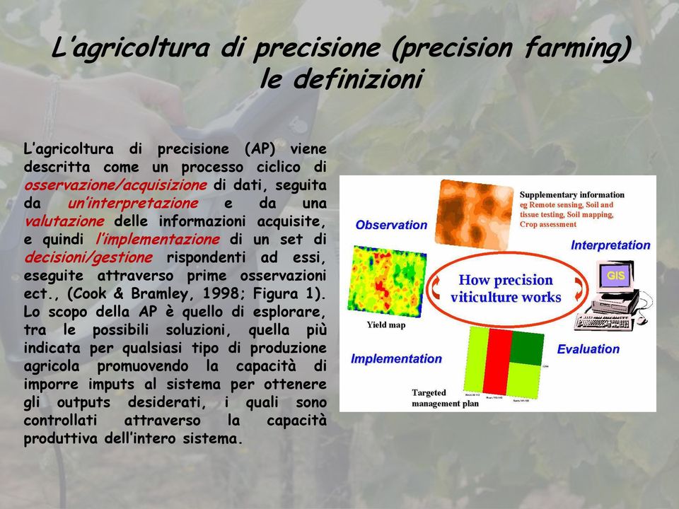 attraverso prime osservazioni ect., (Cook & Bramley, 1998; Figura 1).