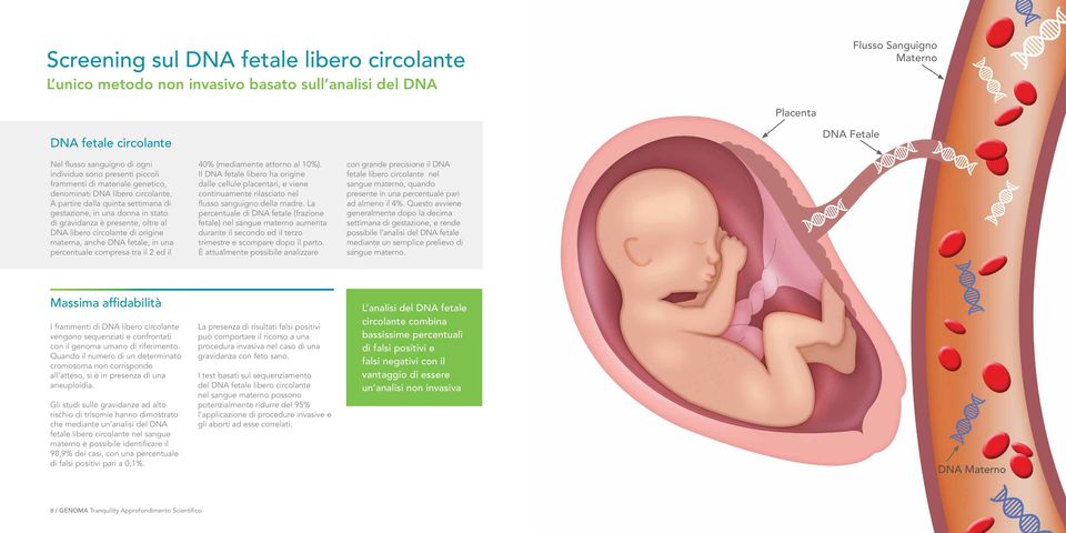 A partire dalla quinta settimana di gestazione, in una donna in stato di gravidanza è presente, oltre al DNA libero circolante di origine materna, anche DNA fetale, in una percentuale compresa tra il