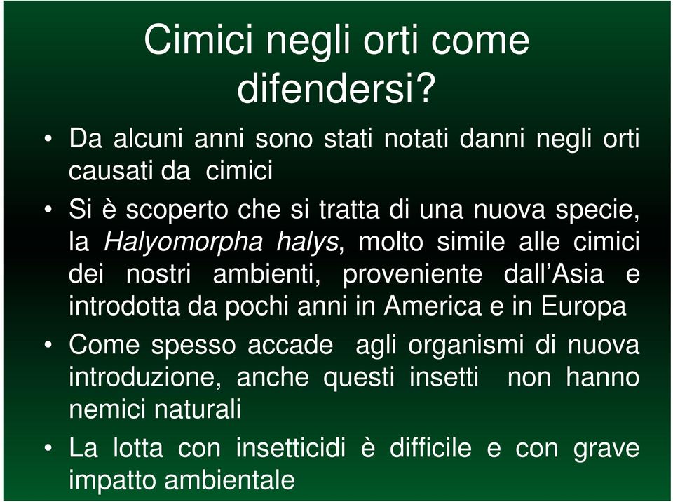 specie, la Halyomorpha halys, molto simile alle cimici dei nostri ambienti, proveniente dall Asia e introdotta da