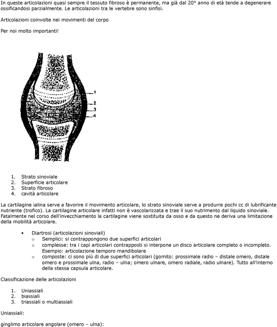 cavità articolare La cartilagine ialina serve a favorire il movimento articolare, lo strato sinoviale serve a produrre pochi cc di lubrificante nutriente (trofico).