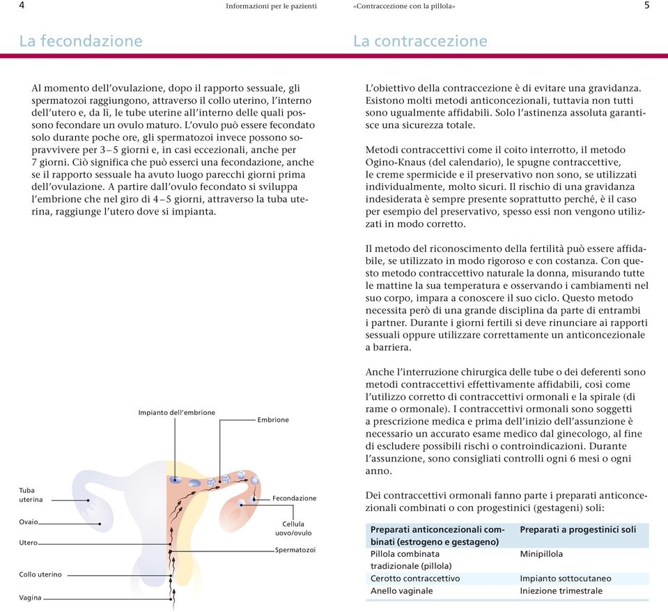 L ovulo può essere fecondato solo durante poche ore, gli spermatozoi invece possono sopravvivere per giorni e, in casi eccezionali, anche per giorni.