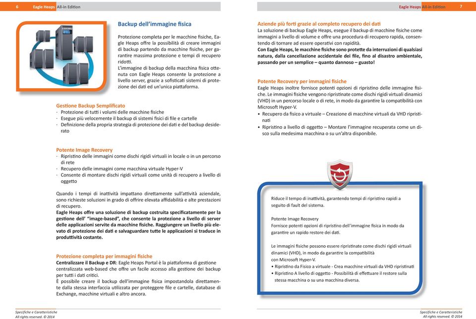 L immagine di backup della macchina fisica ottenuta con Eagle Heaps consente la protezione a livello server, grazie a sofisticati sistemi di protezione dei dati ed un unica piattaforma.