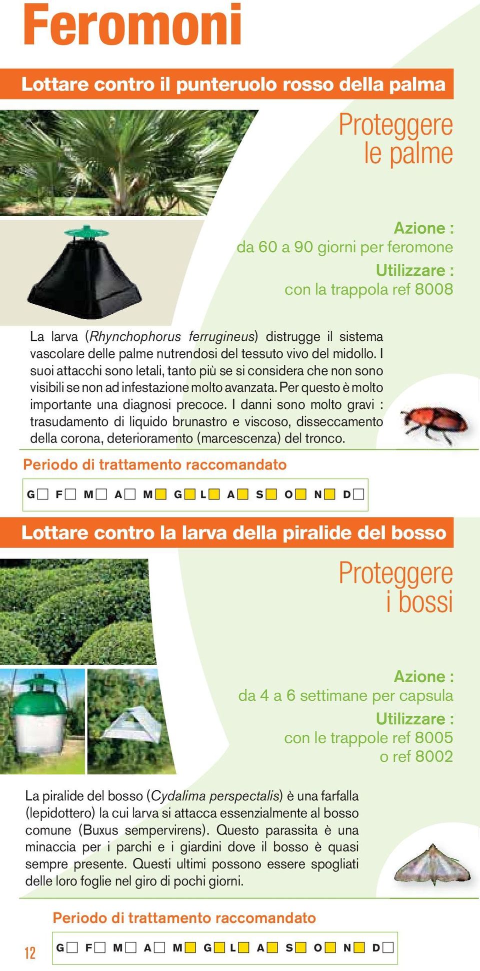 Per questo è molto importante una diagnosi precoce. I danni sono molto gravi : trasudamento di liquido brunastro e viscoso, disseccamento della corona, deterioramento (marcescenza) del tronco.