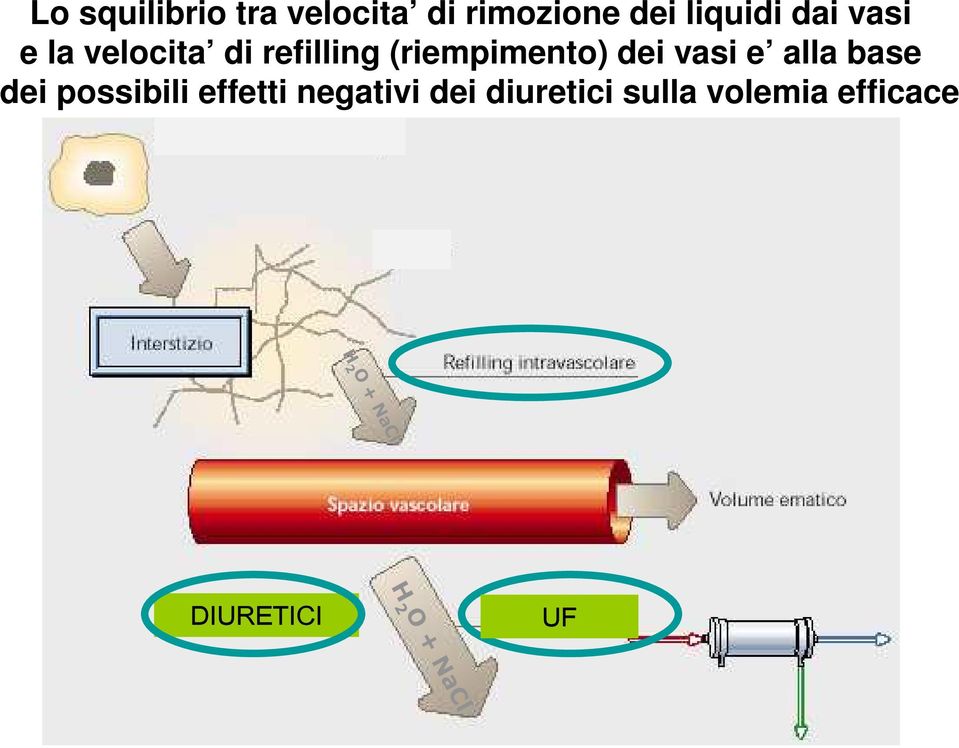 alla base dei possibili effetti negativi dei diuretici