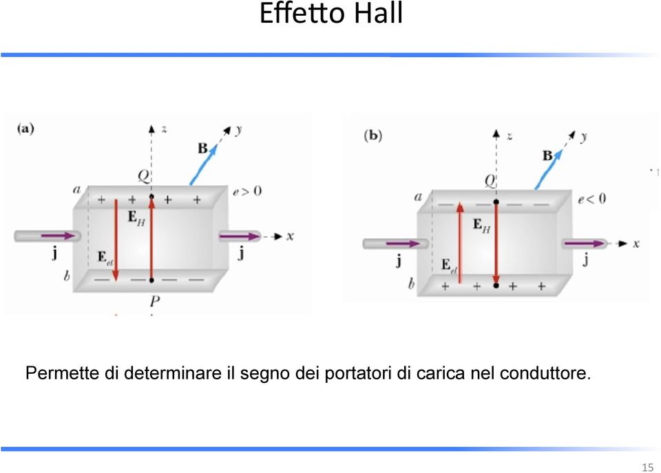 segno dei portatori