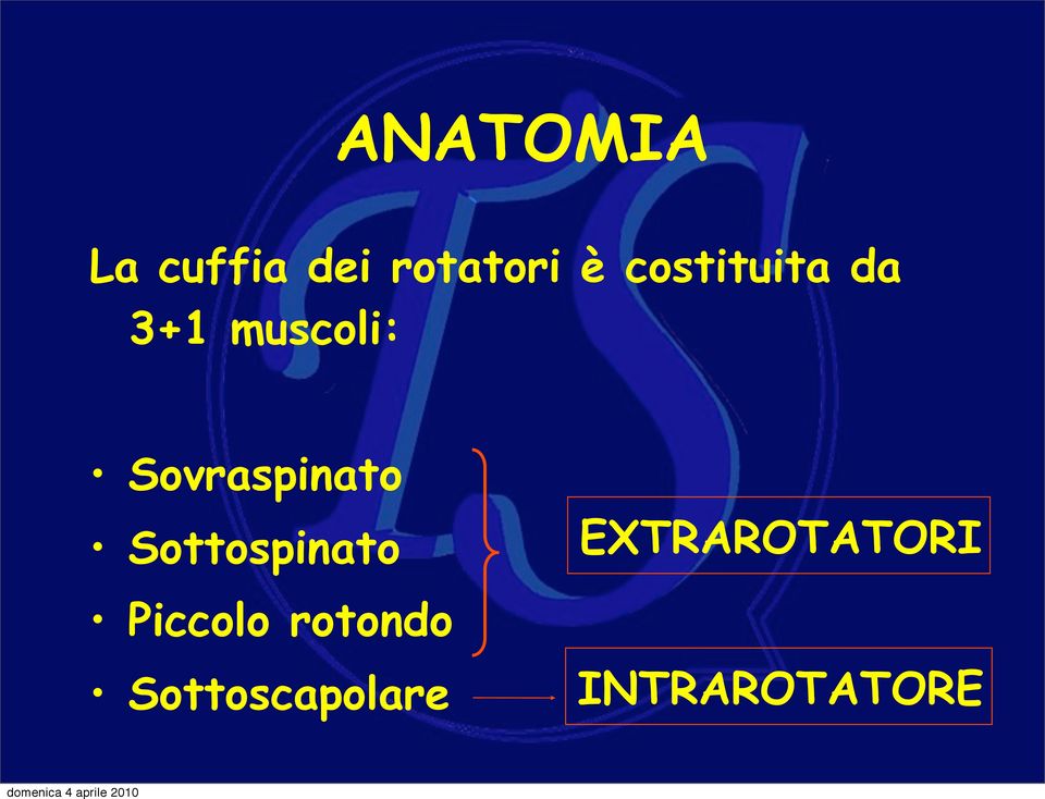 Sovraspinato Sottospinato