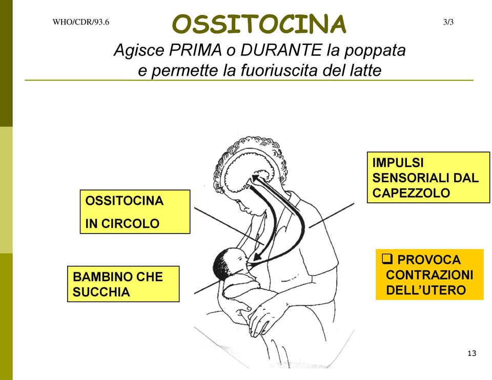 e permette la fuoriuscita del latte OSSITOCINA IN