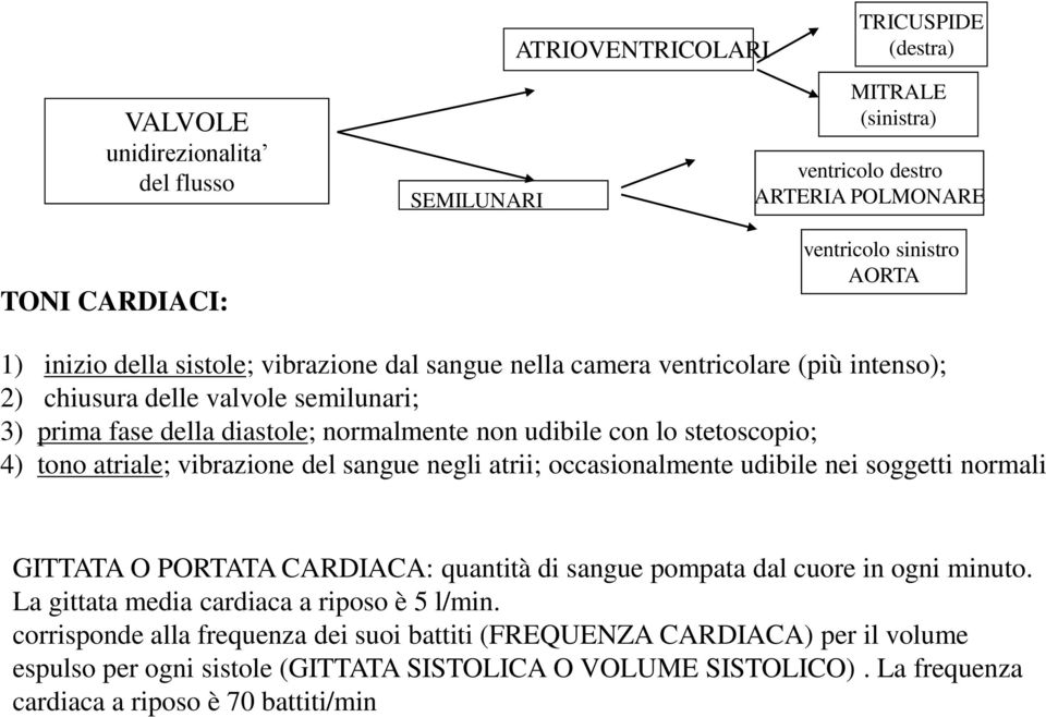 atriale; vibrazione del sangue negli atrii; occasionalmente udibile nei soggetti normali GITTATA O PORTATA CARDIACA: quantità di sangue pompata dal cuore in ogni minuto.