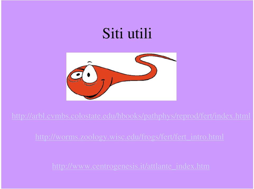 html http://worms.zoology.wisc.