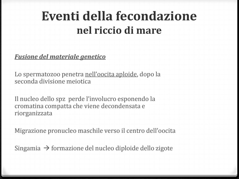 involucro esponendo la cromatina compatta che viene decondensata e riorganizzata Migrazione