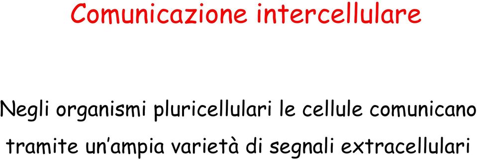 le cellule comunicano tramite un