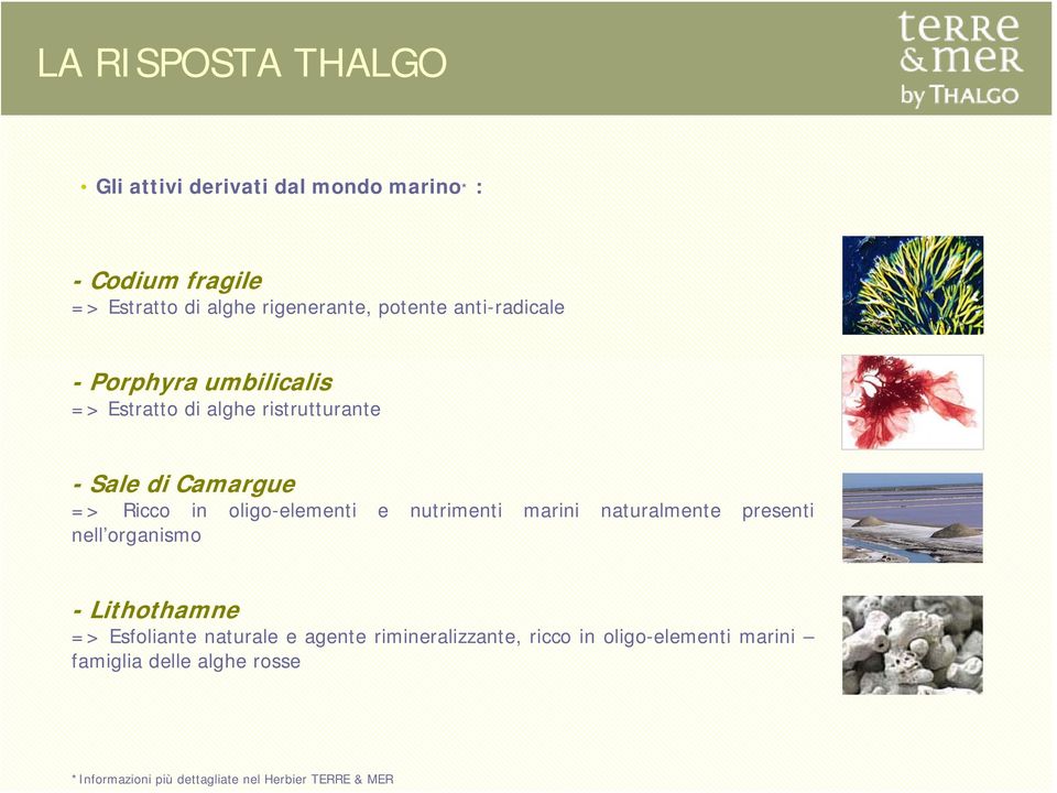 oligo-elementi e nutrimenti marini naturalmente presenti nell organismo - Lithothamne => Esfoliante naturale e agente