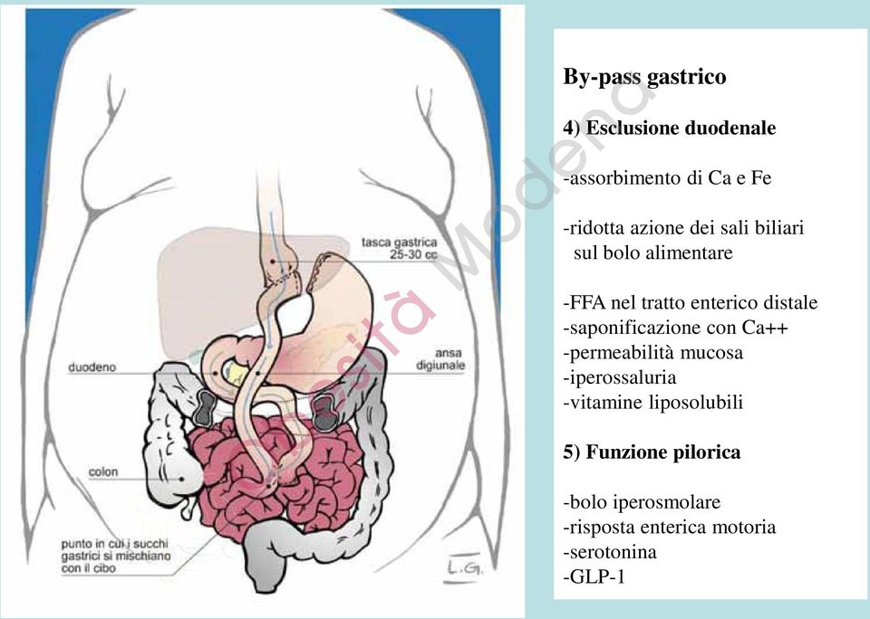 -saponificazione con Ca++ -permeabilità mucosa -iperossaluria -vitamine