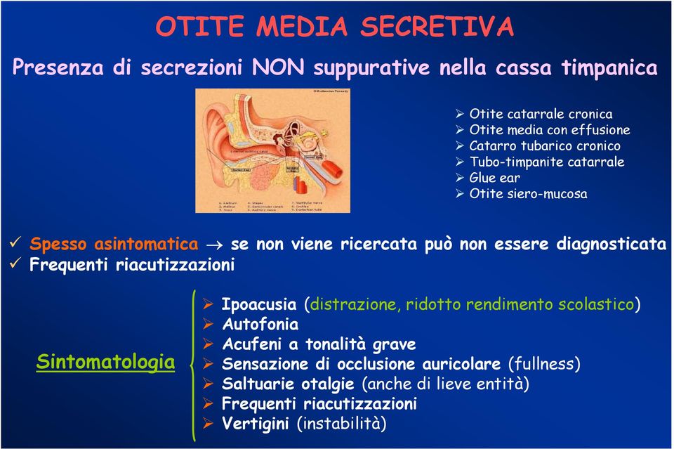 diagnosticata Frequenti riacutizzazioni Sintomatologia Ipoacusia (distrazione, ridotto rendimento scolastico) Autofonia Acufeni a