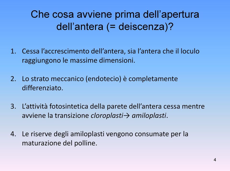 Lo strato meccanico (endotecio) è completamente differenziato. 3.