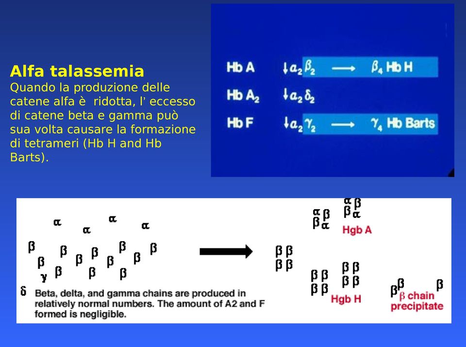 catene beta e gamma può sua volta causare