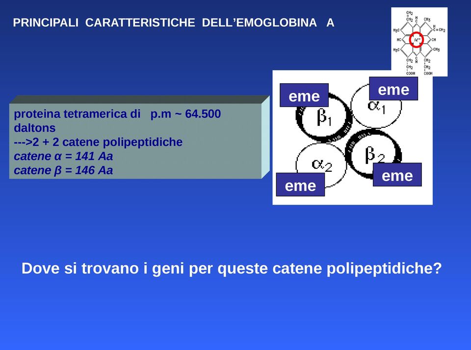 500 daltons --->2 + 2 catene polipeptidiche catene α =