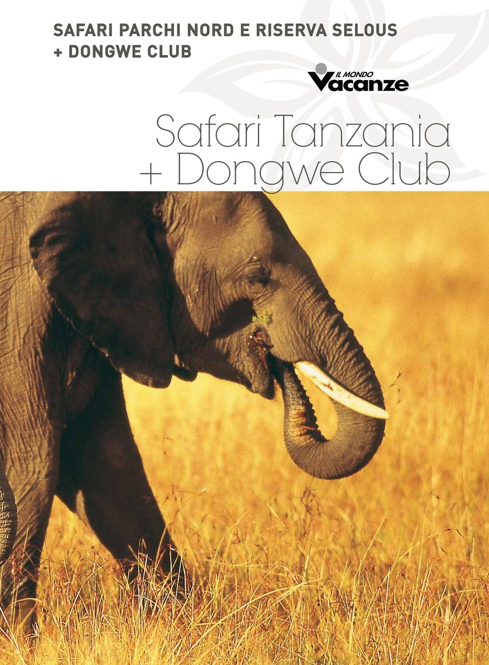 DONGWE CLUB Safari