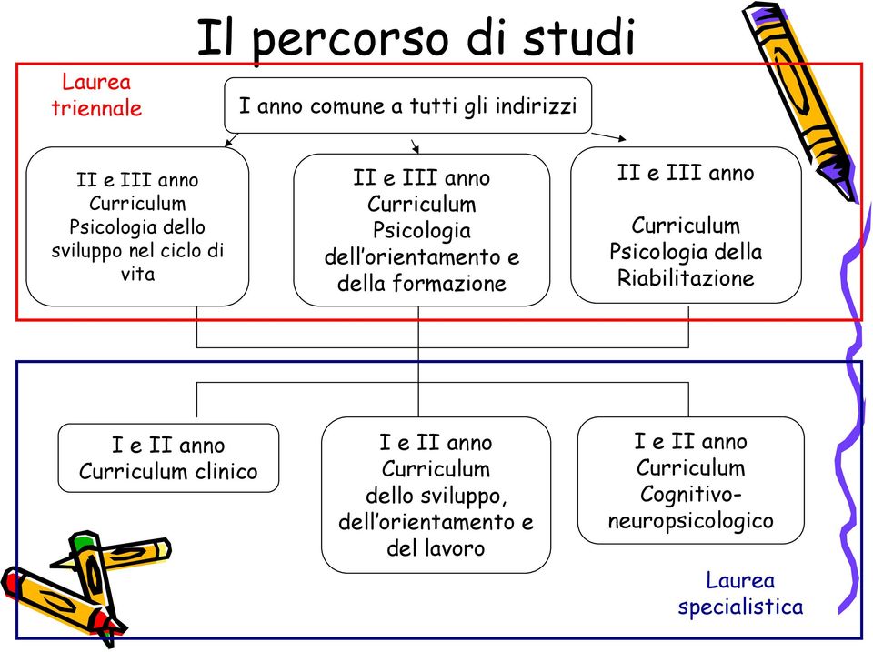 III anno Curriculum Psicologia della Riabilitazione I e II anno Curriculum clinico I e II anno Curriculum