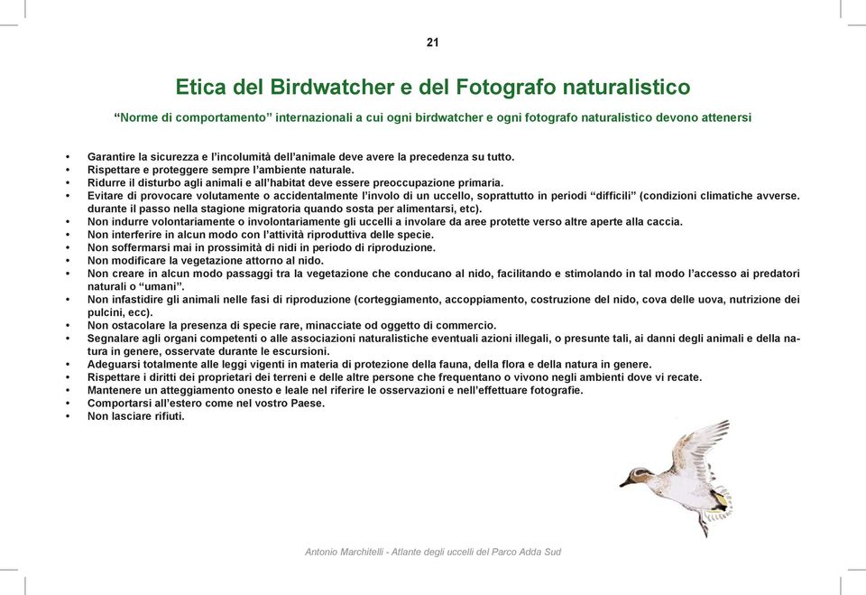 Evitare di provocare volutamente o accidentalmente l involo di un uccello, soprattutto in periodi difficili (condizioni climatiche avverse.