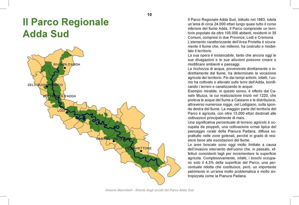 L elemento caratterizzante dell Area Protetta è sicuramente il fiume che, nei millenni, ha costruito e modellato il territorio.