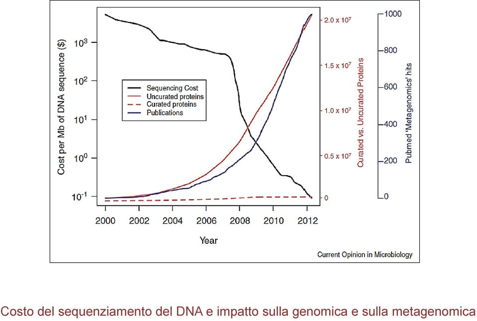 DNA e impatto sulla